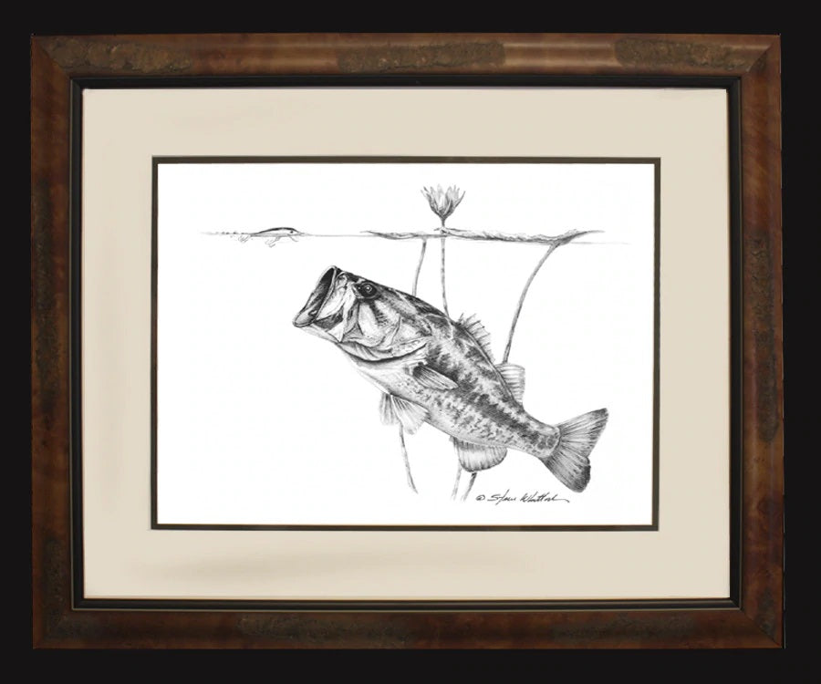 Pencil Art - Steve Whitlock