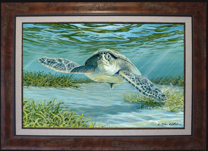 Game Fishing Art - Steve Whitlock