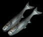 No Live Bait Needed (NLBN) K-Tails