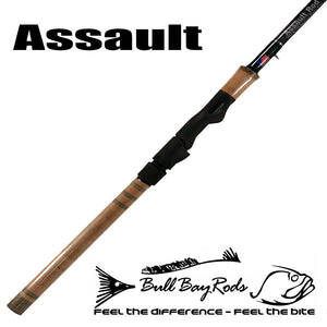 CLOSEOUT: Assault Rod Select models!