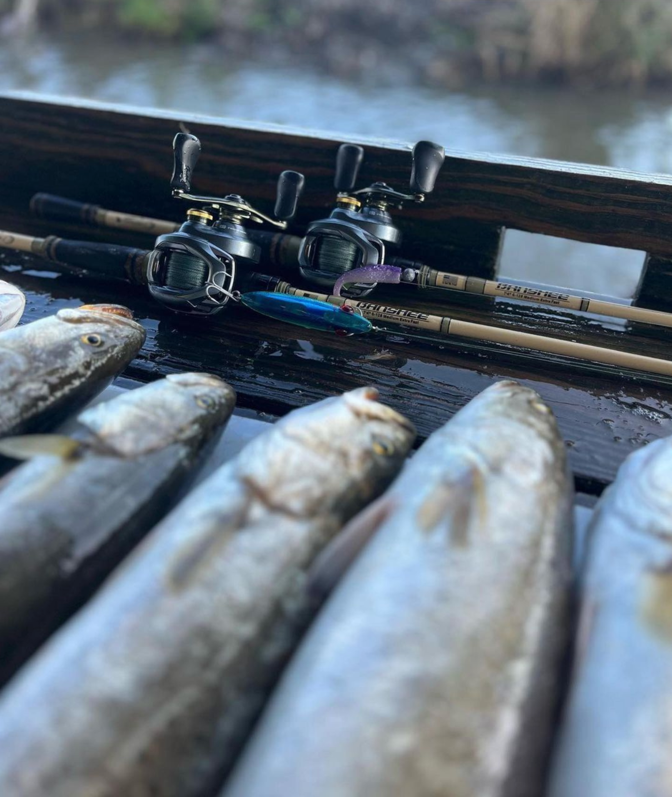 6'8 medium extra fast baitcasting rod 6th Sense Movement Casting Rods quality product that you can trust at an everyday value Bull Bay Tackle - Banshee