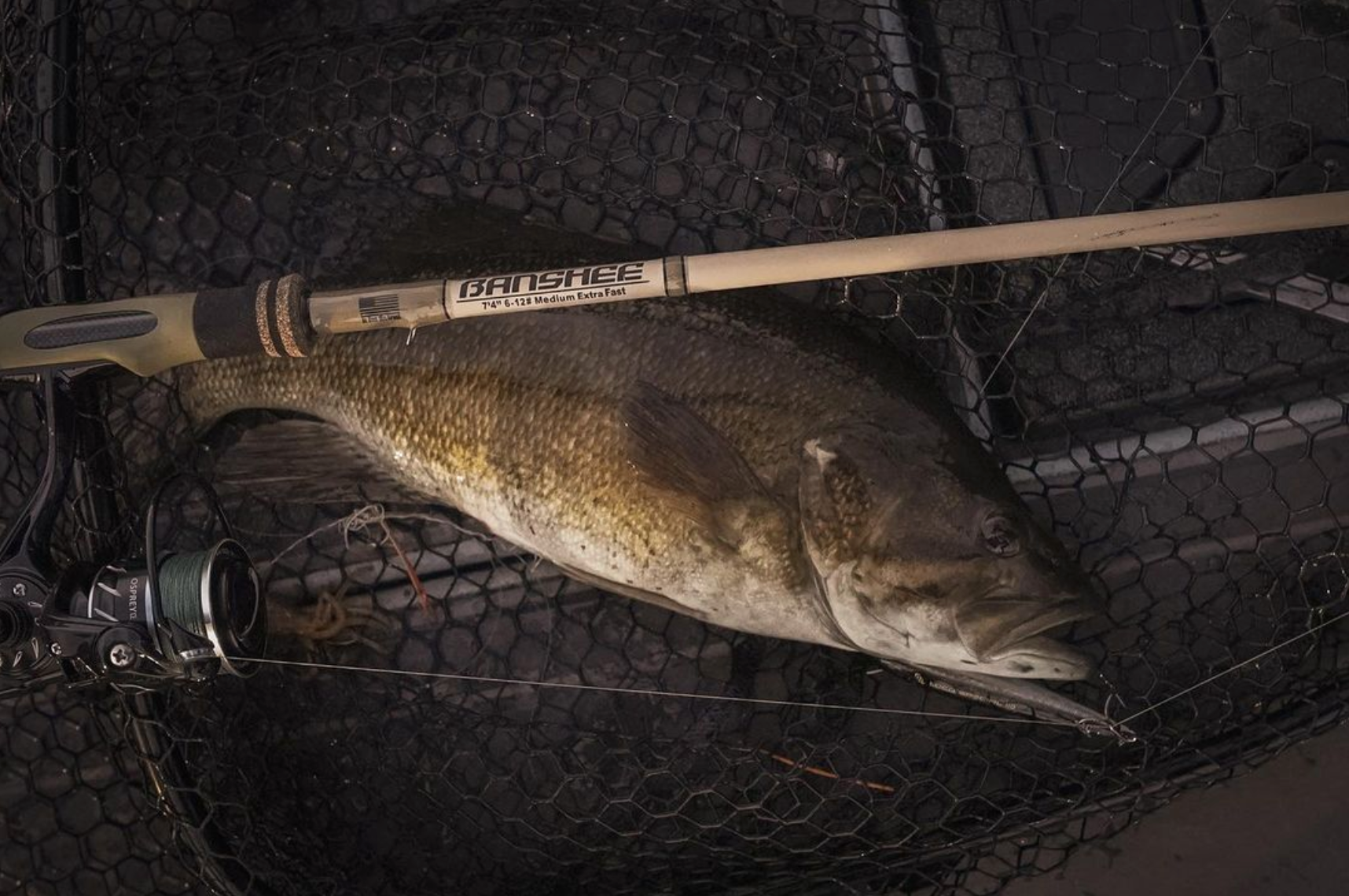 banshee fishing reel Bull Bay Rods BBRBN10-7 Spinning Rod the Banshee Rod is your ultimate companion for a thrilling fishing adventure. The crowd favorite is here!