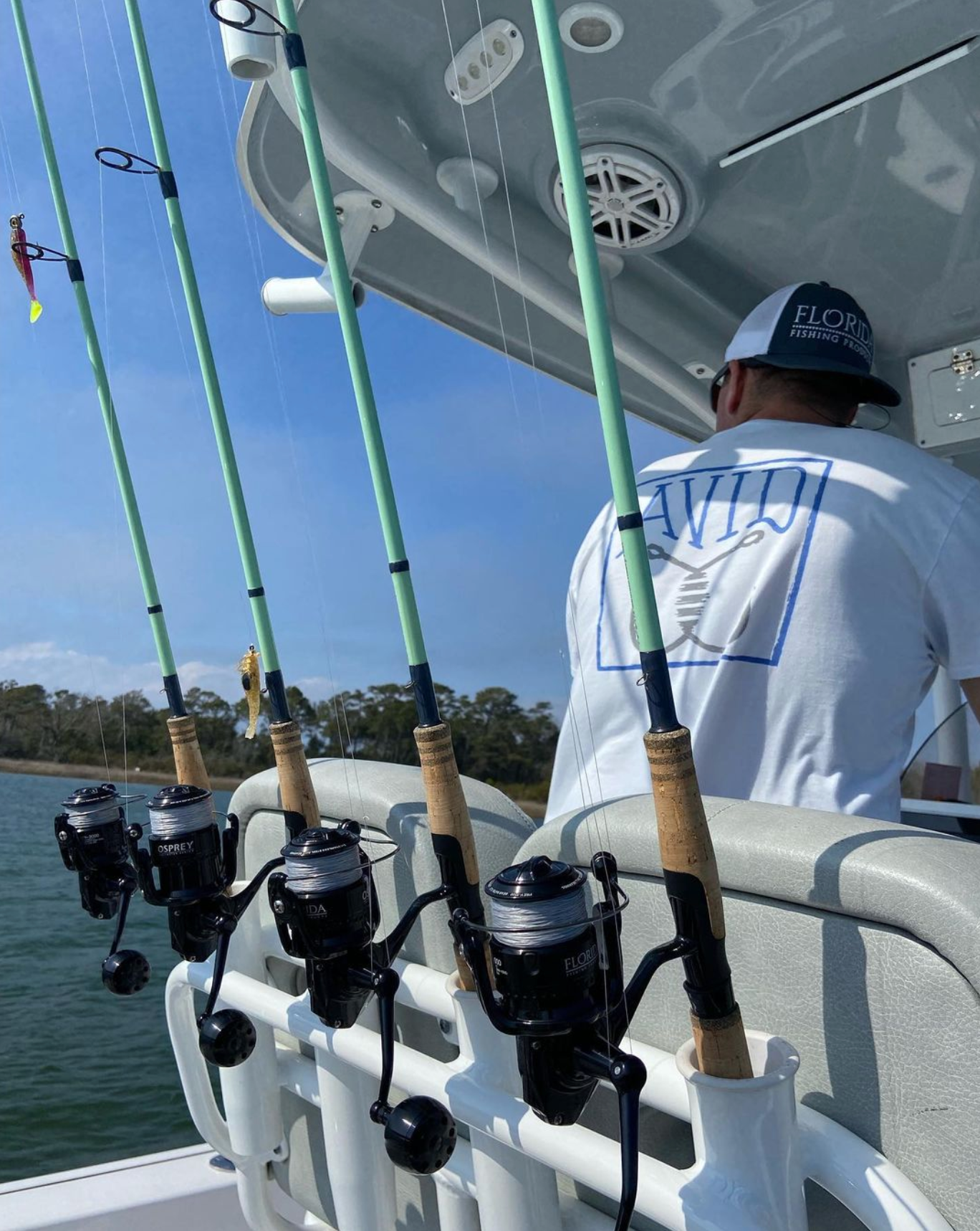 bulldog fishing pole BOLT Rod
