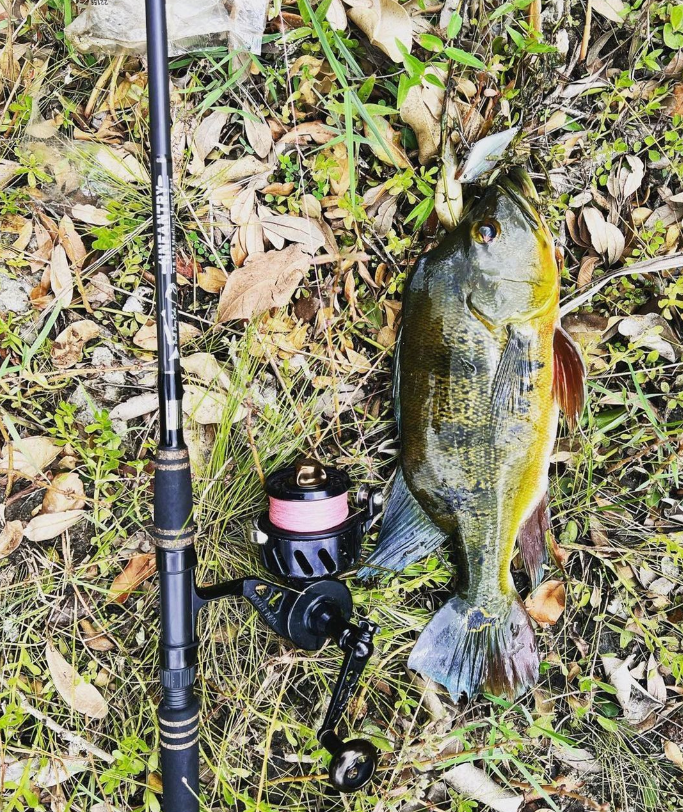 Infantry Rod – Bull Bay Tackle Company