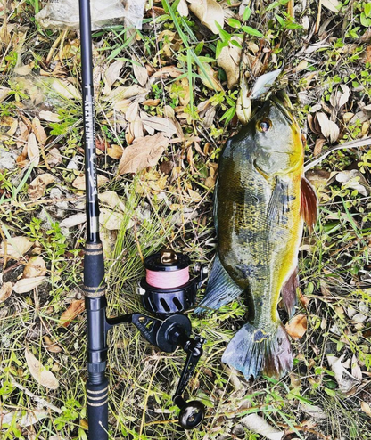bayford fishing pole Infantry Rod