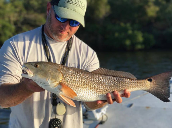 CLOSEOUT: Assault Rod Select models!