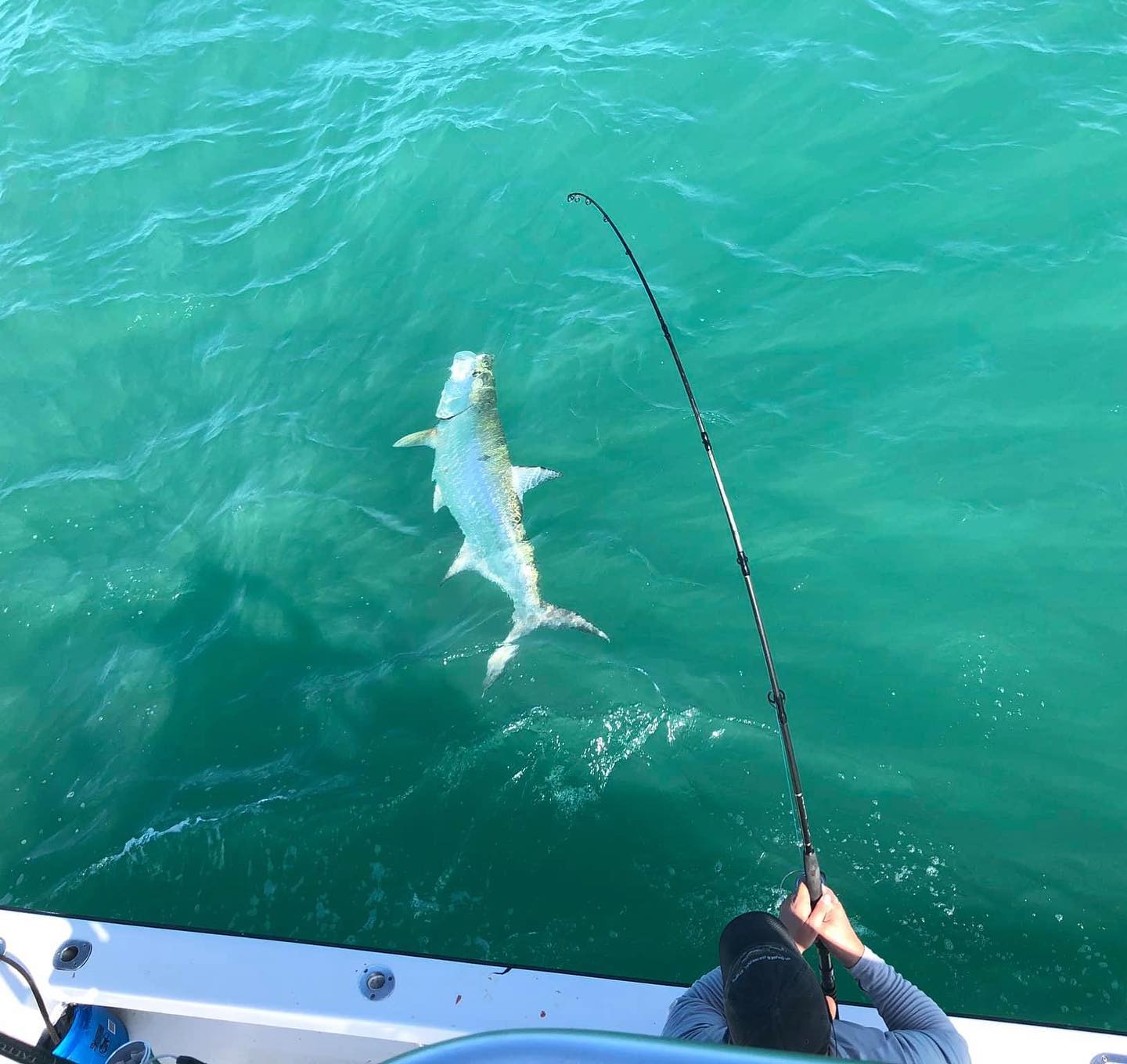 Karbine Spinning Rod