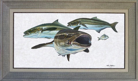 Game Fishing Art - Steve Whitlock