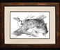 Pencil Art - Steve Whitlock