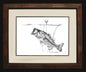 Pencil Art - Steve Whitlock