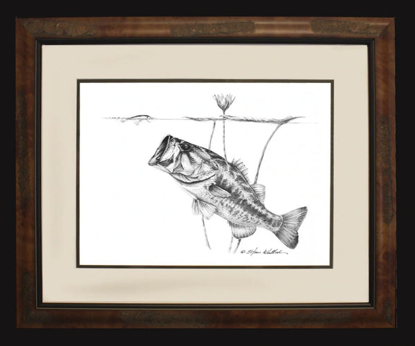 Pencil Art - Steve Whitlock