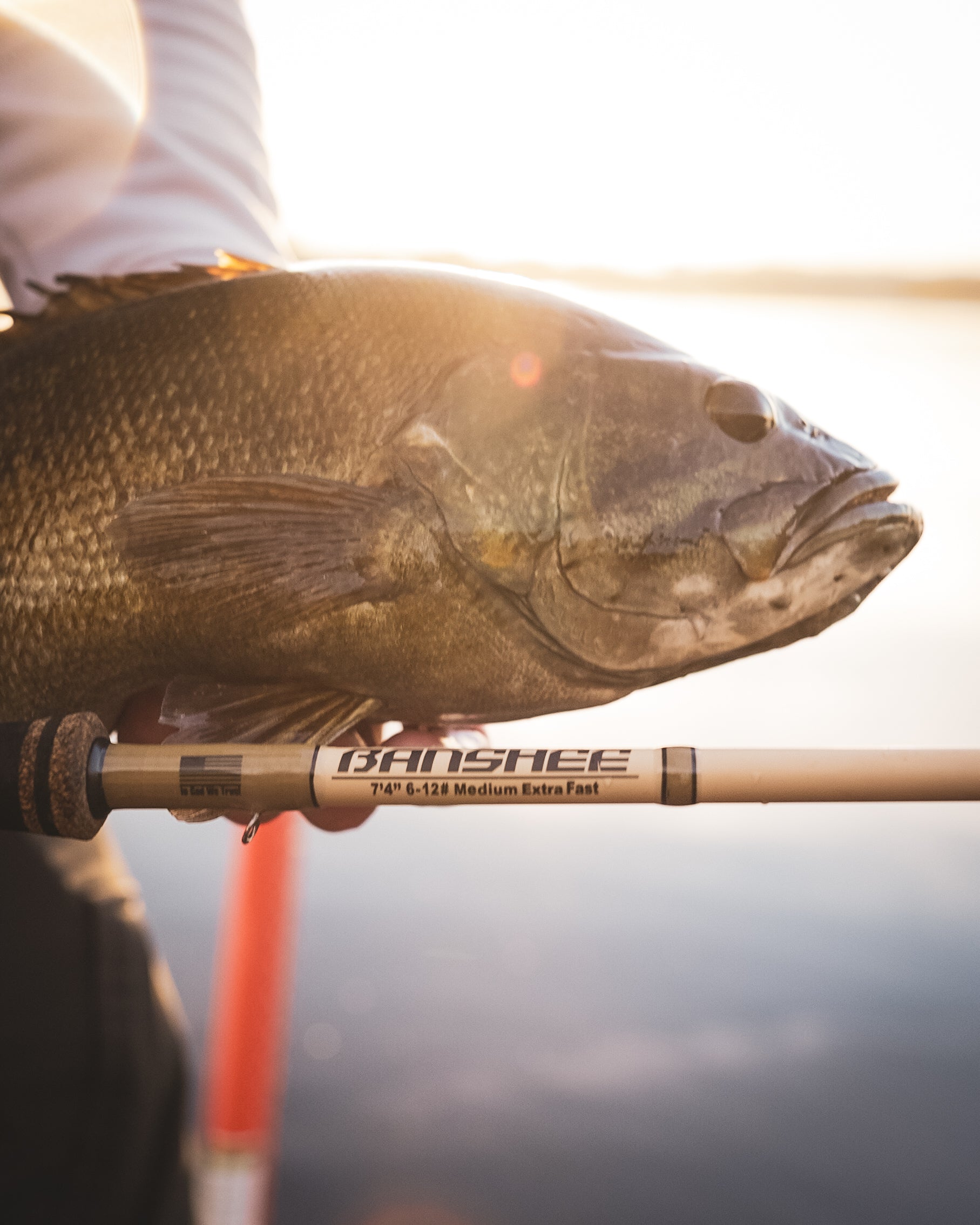 Banshee Rod - 6'4" / 5-10# Medium light Power Extra Fast Action Banshee Rod - 6'4" / 5-10# Medium light Power Extra Fast Action