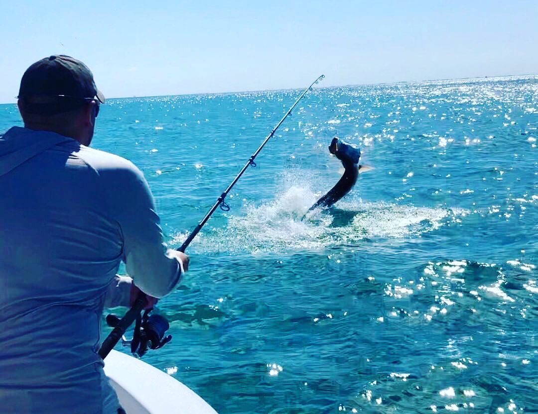 blump family fishing pole Brute Force Tarpon Rod – Bull Bay Tackle Company